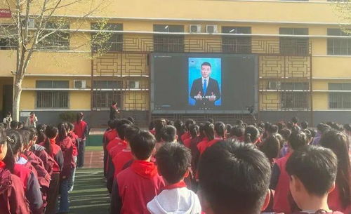 河南法治频道直播回放，探寻法治之光