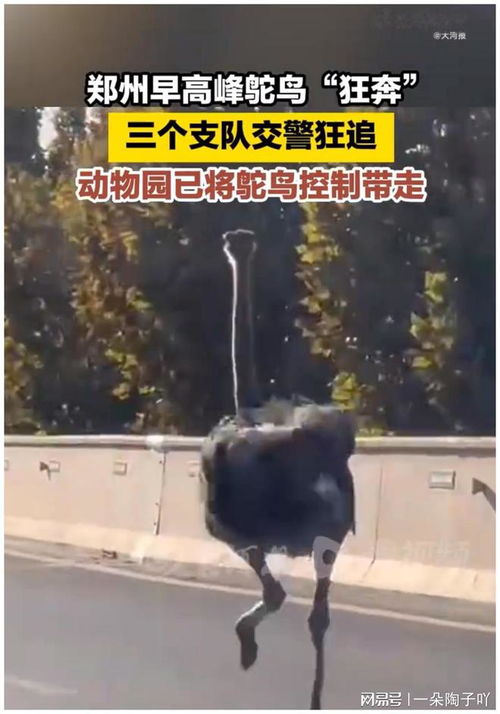 2025年8月26日 第43页