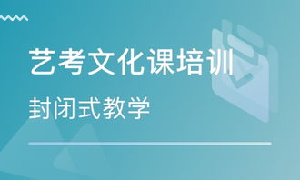 成都艺考生文化课培训助力梦想腾飞