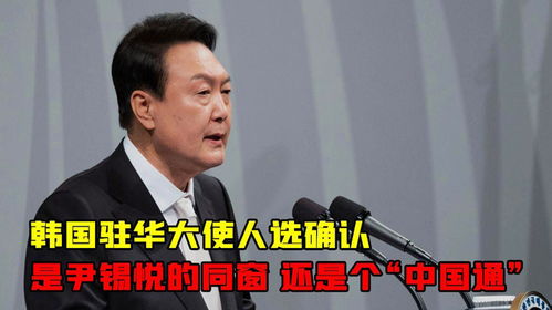 尹锡悦一个中国，真心抑或假意之辩