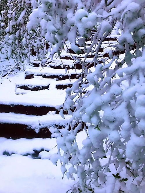 河北多地四月飞雪奇观，自然奇幻背后的警示