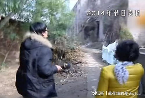 新婚夫妻离奇消失之谜