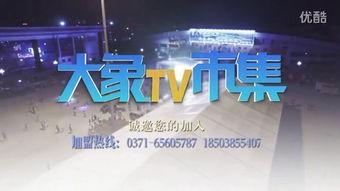 河南法制频道直播在线观看