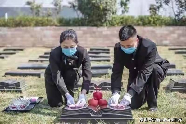 代客祭扫，特殊职业与背后的故事探寻