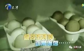 鸡蛋储存前的清洗误区，无需预先清洗