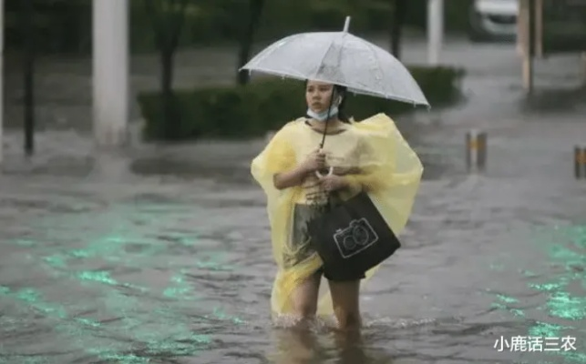 陕西四川大暴雨来袭，风雨挑战与积极应对
