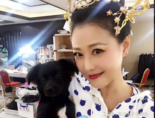 周海媚昏迷仍在抢救，生命的顽强与希望