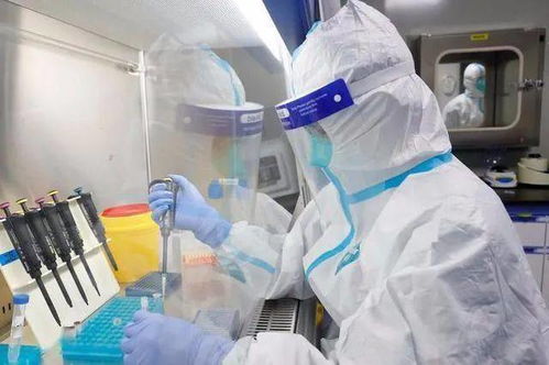 河北新增7例无症状感染者，疫情防控形势严峻