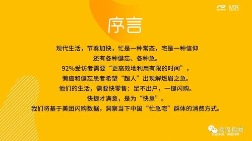姓名大数据报告，揭示名字背后的文化密码与时代特征