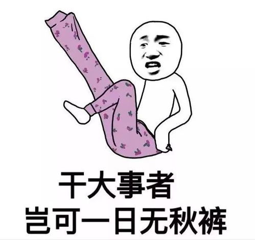 今日秋裤穿没穿？