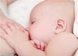 专业催奶师培训，母乳喂养的有力保障与母婴健康的贴心呵护