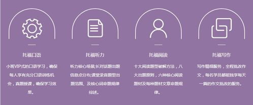 托福考试培训机构1V1，个性化学习的卓越引领者