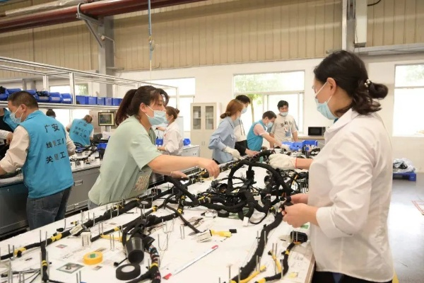 技术培训学校，实用技能培养与职业发展助力的桥梁