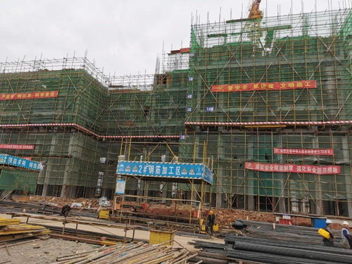 电脑学习班——引领你踏上数字时代的精彩学习征程