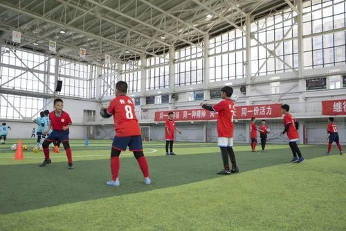 青少年体能训练基地，塑造未来活力摇篮