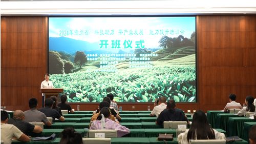专业技术培训，提升能力，助力发展