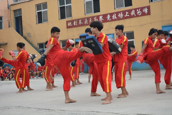 探寻武术学校，传承与成长的摇篮