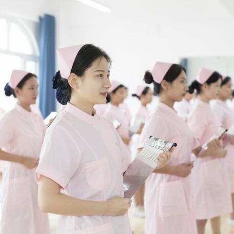 探索上海宠物美容学校，开启宠物护理专业之旅