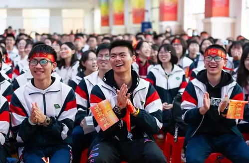编程学校，开启未来科技之门的神奇钥匙