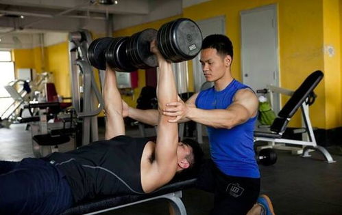 探索健身教练培训的多元路径