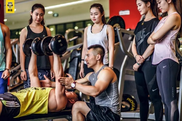 探索健身教练培训学校，塑造专业健身人才的摇篮