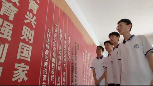 影视培训班——梦想起航的璀璨之地