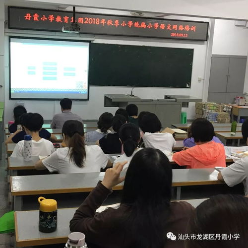 探索学电脑培训的无限可能，开启数字时代新征程