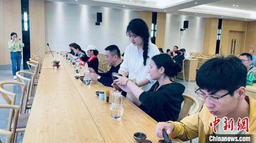 探索包点培训的魅力与价值