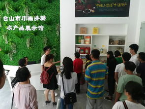 淘宝培训学校，电商梦想起航的助力者