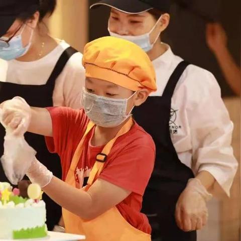 探索蛋糕制作奇妙之旅，哪里有学做蛋糕的培训班