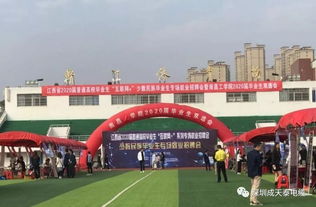 艺术生培训，梦想起航的璀璨舞台