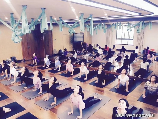 踏上瑜伽教练培训征程，探寻身心和谐与成长