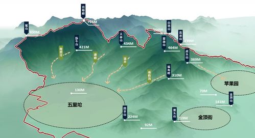 探索设计师培训的多元路径与未来发展