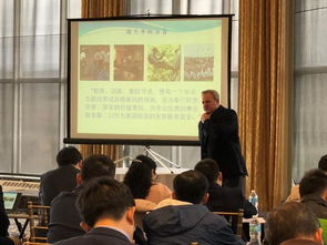 EMBA课程培训班，引领卓越商业领导力之旅