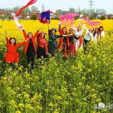 培训学校网站，开启教育新窗口，打造发展新引擎