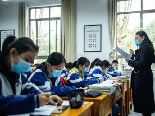 高三艺考生文化课集训，助力梦想腾飞的坚实翅膀
