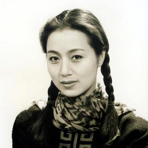 顶峰学校——教育璀璨明珠，闪耀育人之光