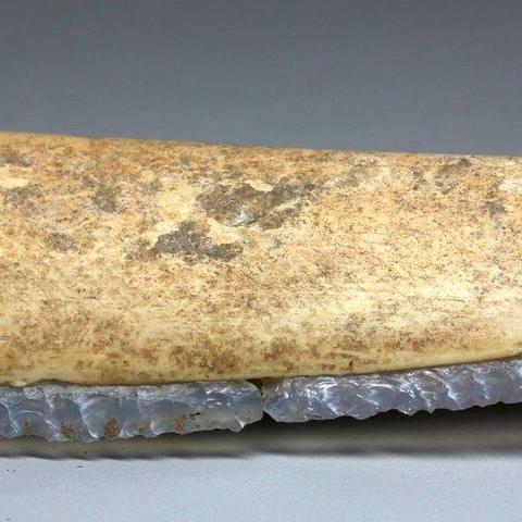 浙江研发成功全球首款骨胶水