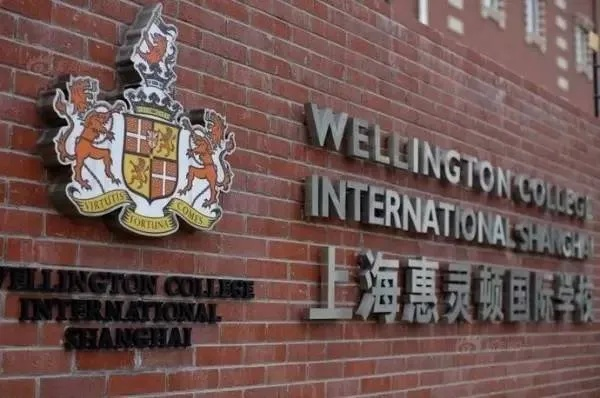 探秘上海惠灵顿国际学校，卓越教育与独特魅力之旅