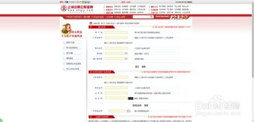上海住房公积金查询，便捷途径与重要意义全解析
