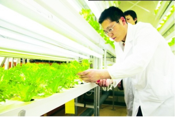 植物保护就业，机遇与挑战共舞