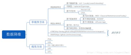 Media的多重含义及其重要性解析