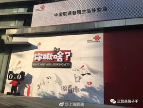 中华网揭幕内参，开启信息新视野