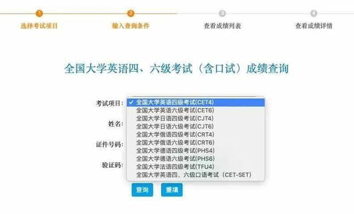大学六级成绩查询，紧张与期待交织的时刻